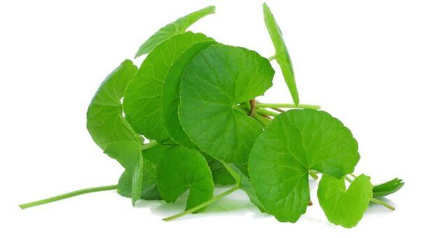 Prostovit contains gotu kola extract