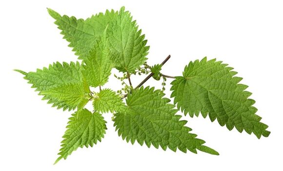 Prostovit will get nettle extract