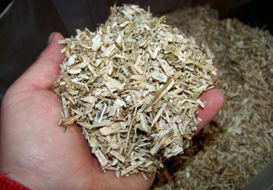 Aspen bark to prepare medicinal tincture for prostatitis in men