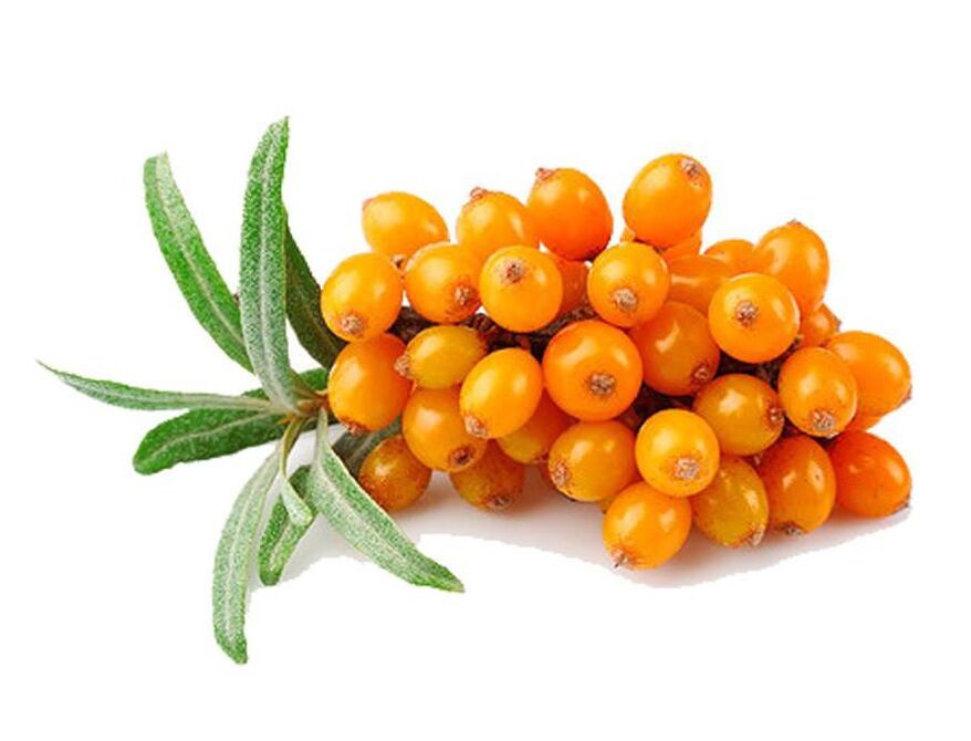 Sea buckthorn, which normalizes the function of the prostate gland during prostatitis